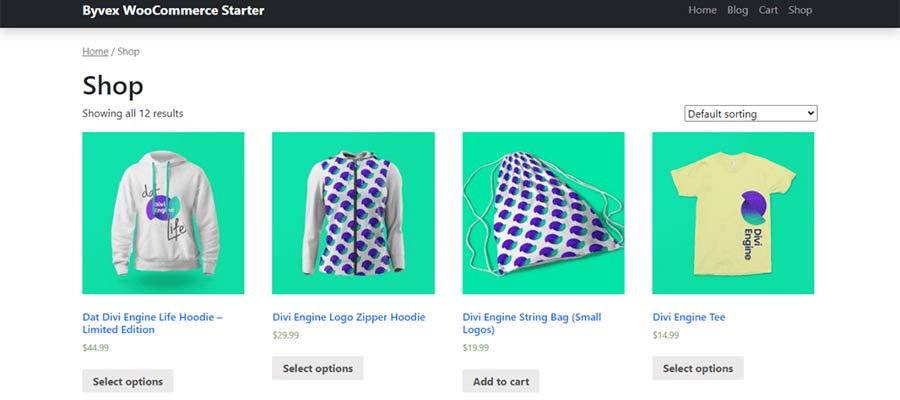 Byvex WooCommerce Starter Theme