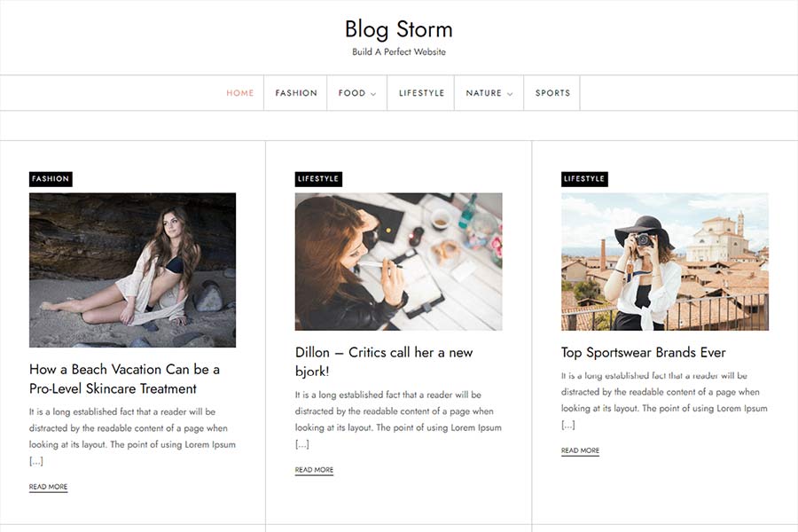 Blog Storm WordPress Theme