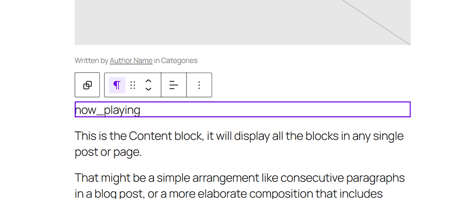 The Paragraph block is bound to our custom field.