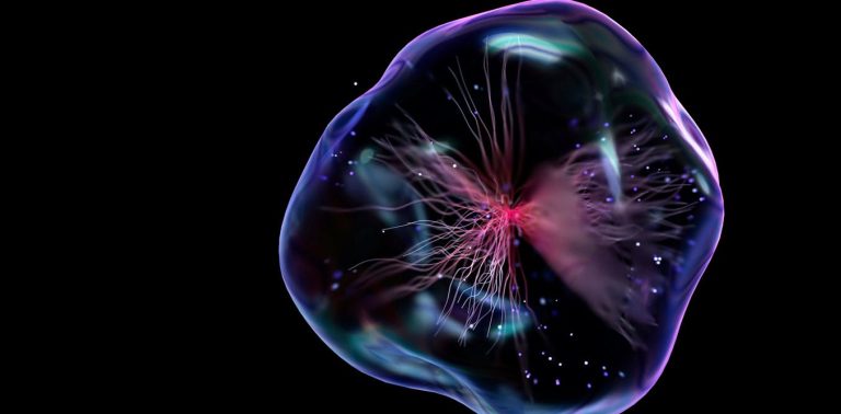 New ‘AI scientists’ are improving – but reveal their fundamental limits