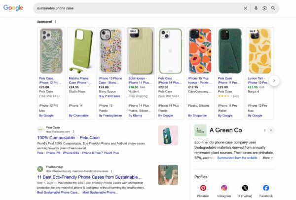 What is SEO (Search Engine Optimization)?